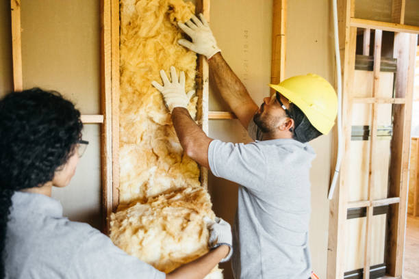 Professional Insulation Contractor in Wailea, HI